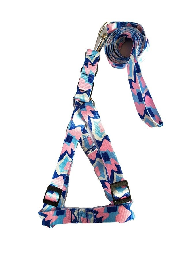 KittuPet طقم سرج ومقود للكلاب من KittuPet، مقاس 22 مم، مصنوع من النايلون الناعم المطبوع بألوان زاهية، مقاس 3/4 بوصة. يتضمن الطقم سرجًا متوسط الحجم قابلًا للتعديل من النايلون، مناسب للكلاب متوسطة الحجم. قد يختلف اللون. - Image 1